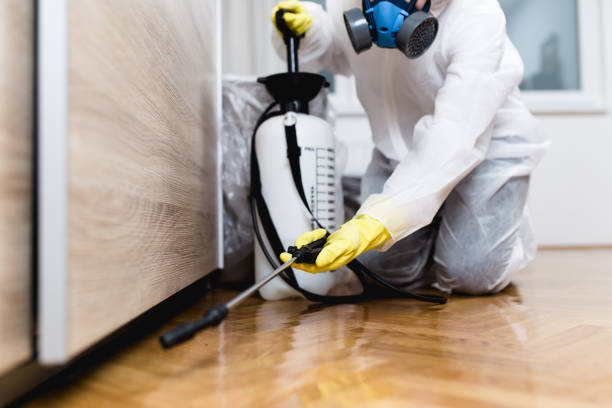Pest Prevention Services in Lake Magdalene, FL