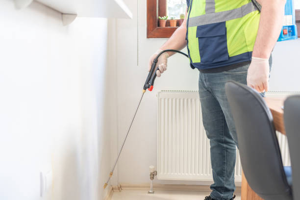 Best Mosquito Control Services  in Lake Magdalene, FL