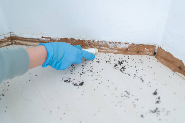 Best Commercial Pest Control Services  in Lake Magdalene, FL
